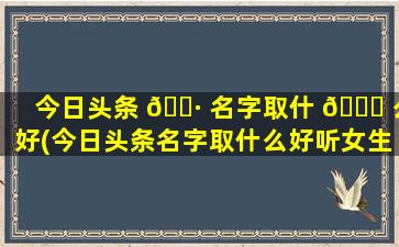 今日头条 🌷 名字取什 🐘 么好(今日头条名字取什么好听女生)